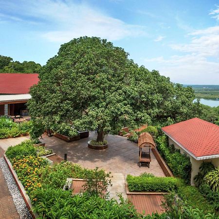 Hotel Doubletree By Hilton Goa - Panadží Exteriér fotografie